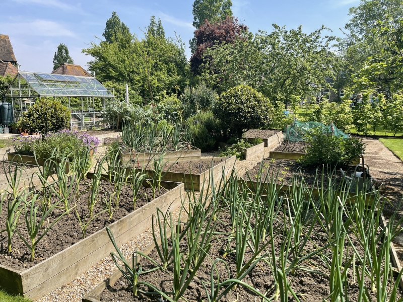 Whitstable Joy Lane Gardens